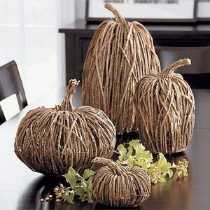Crate&Barrel Brown Woven Pumpkin Decor